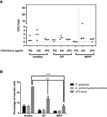 CD18 Mediates Neutrophil Imperviousness to the Aggregatibacter actinomycetemcomitans JP2 Clone in Molar-Incisor Pattern Periodontitis